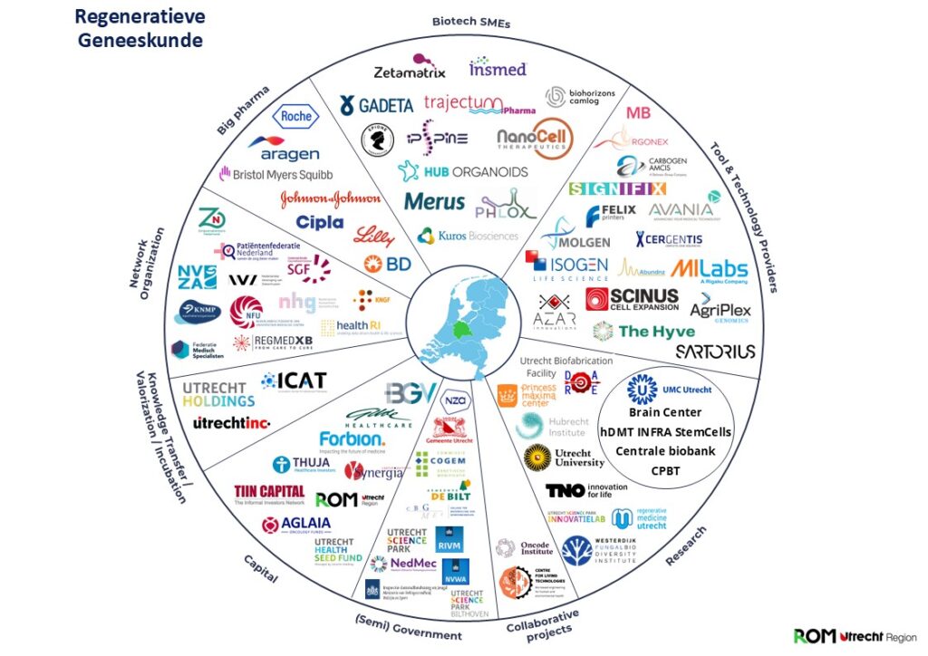 Pie-chart van ondernemende bedrijven binnen het ecosysteem regeneratieve geneeskunde van de regio Utrecht.
