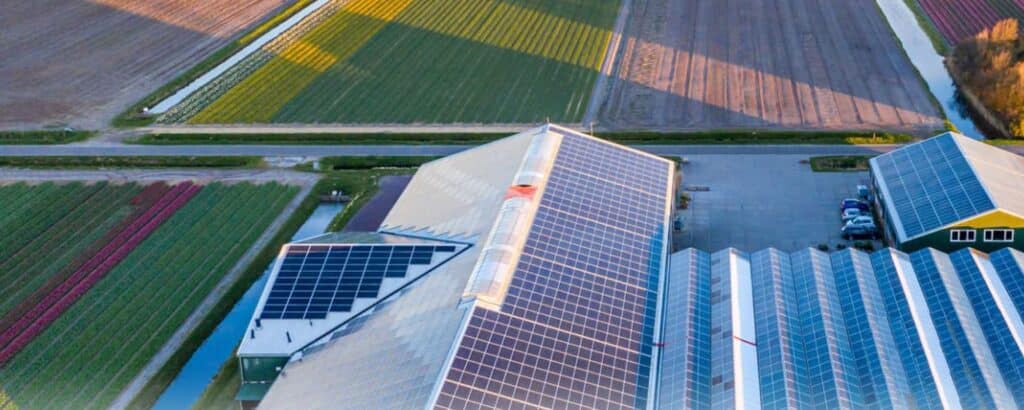 Bovenaanzicht van veehouderij met zonnepanelen en geïntegreerd systeem van Friday Energy.