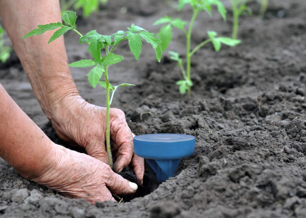 Sensoterra technologie voor het vochtgehalte meting van de bodem.